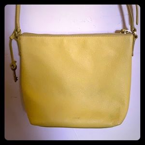 Yellow Fossil Purse
